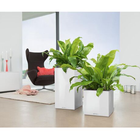 LECHUZA Canto 40 Tower Επιδαπέδια Γλάστρα 40x40x76cm Αυτοποτιζόμενη με Δοχείο Φύτευσης Λευκή Γυαλιστερή Γερμανίας Reddot Award Winner 2017