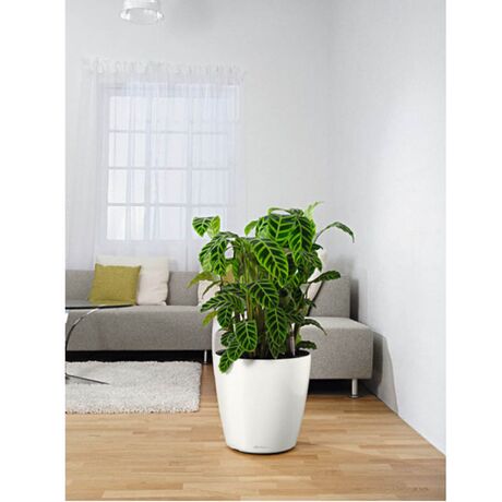 LECHUZA Classico 35 Επιδαπέδια Γλάστρα Ø34.5x32.5cm Αυτοποτιζόμενη Λευκή Γερμανίας