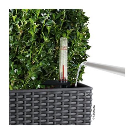 LECHUZA Cubico Cottage 30 Επιδαπέδια Γλάστρα 29.5x29.5x56.5cm Αυτοποτιζόμενη με Δοχείο Φύτευσης Ανθρακί Γερμανίας