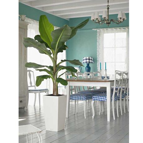 LECHUZA Cubico Color 40 Επιδαπέδια Γλάστρα 39.5x39.5x75.5cm Αυτοποτιζόμενη με Δοχείο Φύτευσης Λευκή Ματ Γερμανίας