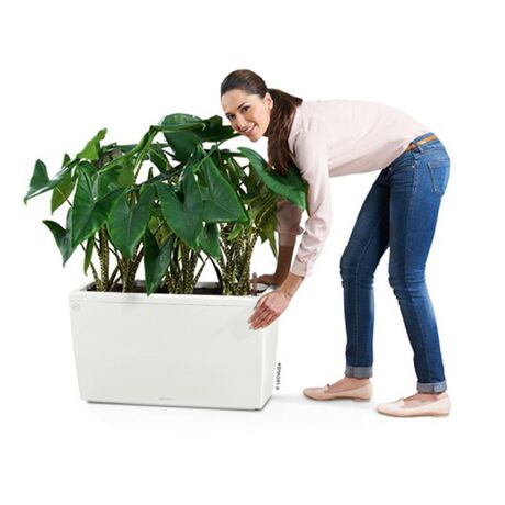 LECHUZA CARARO 75 Premium Ζαρντινιέρα Επιδαπέδια 75x30x42.5cm ΑΥΤΟΠΟΤΙΖΟΜΕΝΗ με 2 Ρόδες Λευκή Γυαλιστερή Γερμανίας