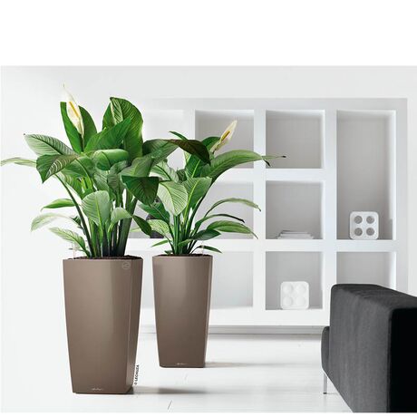 LECHUZA CUBICO 22 Premium Επιτραπέζια Γλάστρα 22x22x41cm Αυτοποτιζόμενη με Δοχείο Φύτευσης Γκρι-Καφέ Γυαλιστερή Γερμανίας