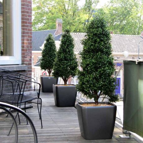 LECHUZA QUADRO 50 LS Premium Επιδαπέδια Γλάστρα 50x50x46.5cm ΑΥΤΟΠΟΤΙΖΟΜΕΝΗ με Δοχείο Φύτευσης Ανθρακί Γυαλιστερή Γερμανίας