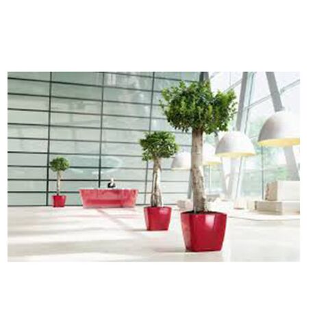 LECHUZA QUADRO 50 LS Premium Επιδαπέδια Γλάστρα 50x50x46.5cm ΑΥΤΟΠΟΤΙΖΟΜΕΝΗ με Δοχείο Φύτευσης Μπορντό Γυαλιστερή Γερμανίας