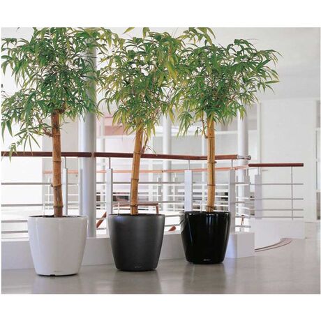 LECHUZA Classico 70 Premium Ø70x64.5cm Απλή Γλάστρα Χωρίς Σύστημα Αυτόματου ποτίσματος Λευκή Γυαλιστερή Γερμανίας