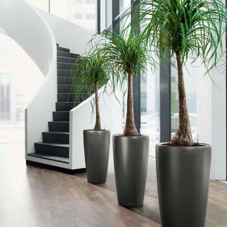 LECHUZA RONDO 40 Premium Επιδαπέδια Γλάστρα Ø40x75cm ΑΥΤΟΠΟΤΙΖΟΜΕΝΗ με Δοχείο Φύτευσης Ανθρακί Σατινέ Γερμανίας