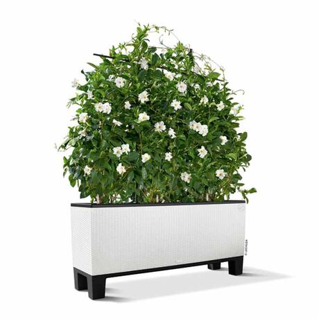 LECHUZA Trio 30 Cottage Ζαρντινιέρα 100x32.5x34.5cm Αυτοποτιζόμενη με 3 Κάδους Φύτευσης Λευκή RATTAN Γερμανίας