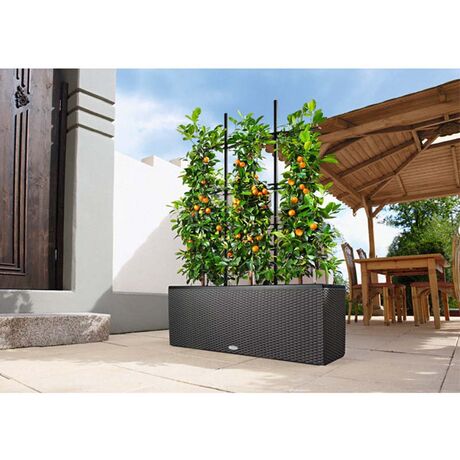 LECHUZA Trio 40 Cottage Ζαρντινιέρα 129.5x42x44cm Αυτοποτιζόμενη με 3 Κάδους Φύτευσης Ανθρακί RATTAN Γερμανίας