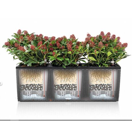 LECHUZA Trio 40 Cottage Ζαρντινιέρα 129.5x42x44cm Αυτοποτιζόμενη με 3 Κάδους Φύτευσης Ανθρακί RATTAN Γερμανίας