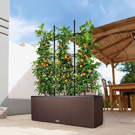 LECHUZA Trio 30 Cottage Ζαρντινιέρα 100x32.5x34.5cm Αυτοποτιζόμενη με 3 Κάδους Φύτευσης Καφέ RATTAN Γερμανίας