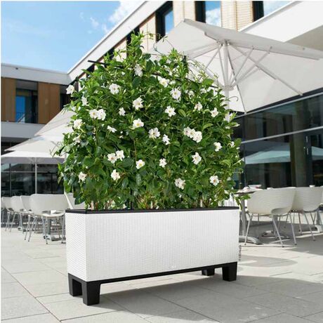 LECHUZA Trio 30 Cottage Ζαρντινιέρα 100x32.5x34.5cm Αυτοποτιζόμενη με 3 Κάδους Φύτευσης Λευκή RATTAN Γερμανίας
