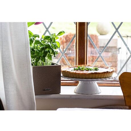 LECHUZA Canto Stone Low 14 Επιτραπέζια Γλάστρα 14x14x13.5cm Αυτοποτιζόμενη με Δοχείο SAND BEIGE Γερμανίας