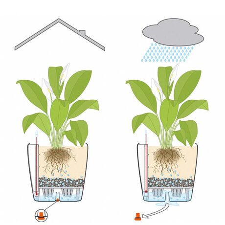 LECHUZA Classico 18 Επιτραπέζια Γλάστρα Ø19x17cm Αυτοποτιζόμενη SAND BROWN Γερμανίας