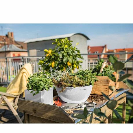 LECHUZA Cubeto Color30 Επιτραπέζια Γλάστρα Ø30x13.5cm Αυτοποτιζόμενη με Δοχείο Φύτευσης 4.5lt QUARTZ WHITE με Όψη Πέτρας Γερμανίας