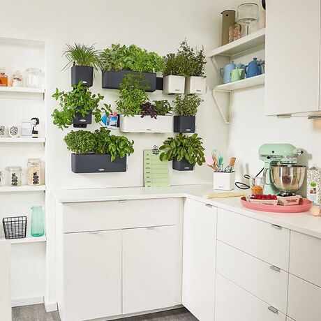 LECHUZA GREEN WALL Color Επιτοίχια Γλάστρα 48x6x14cm Αυτοποτιζόμενη 1.9kg με Εσωτερικά Δοχεία ΑΝΘΡΑΚΙ Γερμανίας