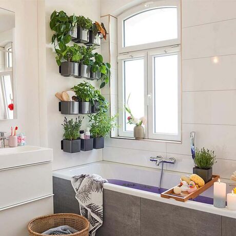 LECHUZA GREEN WALL Glossy Επιτοίχια Γλάστρα 48x6x14cm Αυτοποτιζόμενη 1.9kg με Εσωτερικά Δοχεία ΑΝΘΡΑΚΙ Γερμανίας