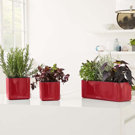 LECHUZA GREEN WALL Glossy Επιτοίχια Γλάστρα 48x6x14cm Αυτοποτιζόμενη 1.9kg με Εσωτερικά Δοχεία ΚΟΚΚΙΝΗ Γερμανίας