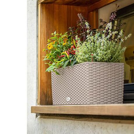 LECHUZA Balconera Cottage50 Ζαρντινιέρα 50x19x19cm Αυτοποτιζόμενη με Δοχείο Φύτευσης Sand Brown Γερμανίας RedDot Award 2010