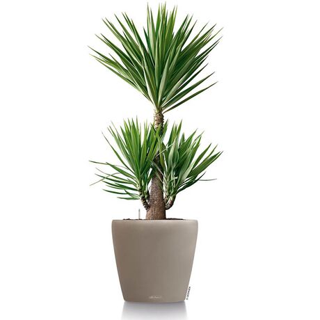 LECHUZA Classico 35 Επιδαπέδια Γλάστρα Ø34.5x32.5cm Αυτοποτιζόμενη SAND BROWN Γερμανίας