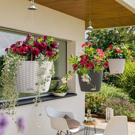 LECHUZA Nido Cottage Κρεμαστή Γλάστρα Ø35x23cm Στρογγυλή Αυτοποτιζόμενη με Δοχείο Φύτευσης Ανοξείδωτο Αξεσουάρ Κρέμασης Ανθρακί Γερμανίας