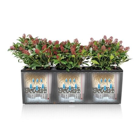 LECHUZA Trio 30 Cottage Ζαρντινιέρα 100x32.5x34.5cm Αυτοποτιζόμενη με 3 Κάδους Φύτευσης Μαύρο του Γραφίτη RATTAN Γερμανίας