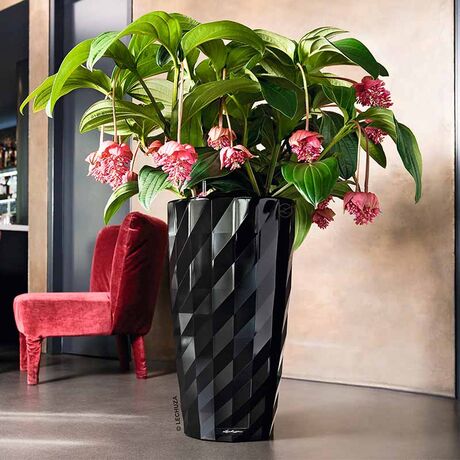 LECHUZA DIAMANTE 40 PREMIUM Ø40x75cm Αυτοποτιζόμενη με Δοχείο Φύτευσης Μαύρη High Gloss Γερμανίας