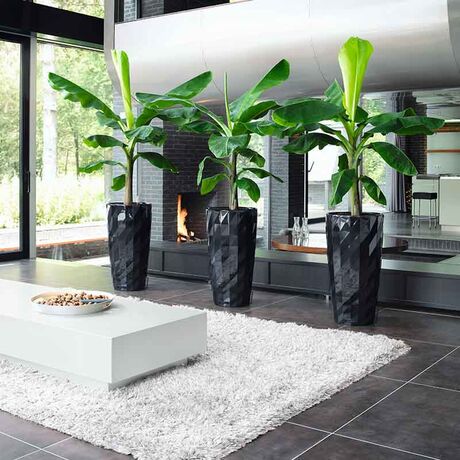 LECHUZA DIAMANTE 40 PREMIUM Ø40x75cm Αυτοποτιζόμενη με Δοχείο Φύτευσης Μαύρη High Gloss Γερμανίας