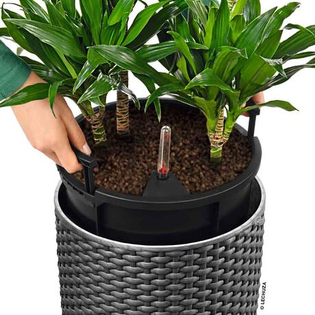 LECHUZA CILINDRO COTTAGE 32 Επιδαπέδια Γλάστρα Ø32x56cm Αυτοποτιζόμενη με Δοχείο Φύτευσης Ανθρακί Γερμανίας