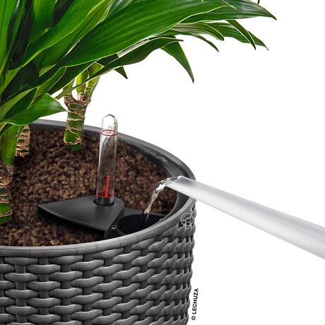 LECHUZA CILINDRO COTTAGE 23 Επιδαπέδια Γλάστρα Ø23x41cm Αυτοποτιζόμενη με Δοχείο Φύτευσης Ανθρακί Γερμανίας
