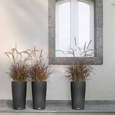 LECHUZA CILINDRO COTTAGE 32 Επιδαπέδια Γλάστρα Ø32x56cm Αυτοποτιζόμενη με Δοχείο Φύτευσης Ανθρακί Γερμανίας