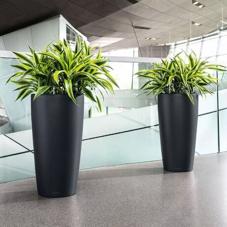 LECHUZA RONDO 40 Premium Επιδαπέδια Γλάστρα Ø40x75cm ΑΥΤΟΠΟΤΙΖΟΜΕΝΗ με Δοχείο Φύτευσης Μαύρη Ματ Γερμανίας