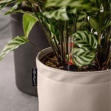 LECHUZA TRENDCOVER 23 Γλάστρα με Επιφάνεια Vegan Δέρμα Ø23x26.5cm Αυτοποτιζόμενη με Δοχείο Φύτευσης Ανθρακί Γερμανίας