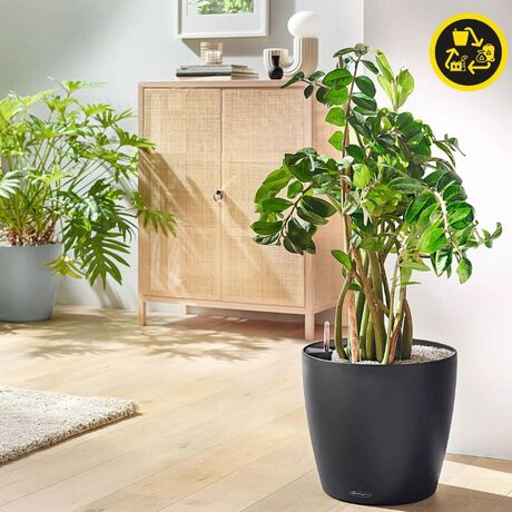 LECHUZA Classico ECO 21 Επιτραπέζια Γλάστρα Ø21.5x20.5cm Αυτοποτιζόμενη Dark Grey Γερμανίας