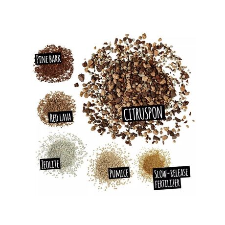 LECHUZA CITRUSPON Υπόστρωμα Φύτευσης 12lt με Λίπασμα για Εσπεριδοειδή για Γλάστρες Lechuza