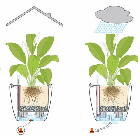 LECHUZA Classico Color LS 28 Επιτραπέζια Γλάστρα Ø28x26cm Αυτοποτιζόμενη με Δοχείο Φύτευσης Nutmeg Ματ Γερμανίας