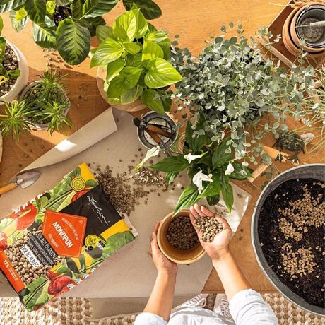 LECHUZA MONOPON Υπόστρωμα Φύτευσης 6lt Γενικής Χρήσης με Ελαφρόπετρα για όλα τα Φυτά και τις Γλάστρες