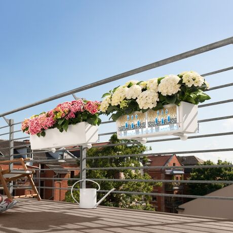 LECHUZA Balconera Color 50 Ζαρντινιέρα 50x19x19cm Αυτοποτιζόμενη με Δοχείο Φύτευσης Linde Γερμανίας