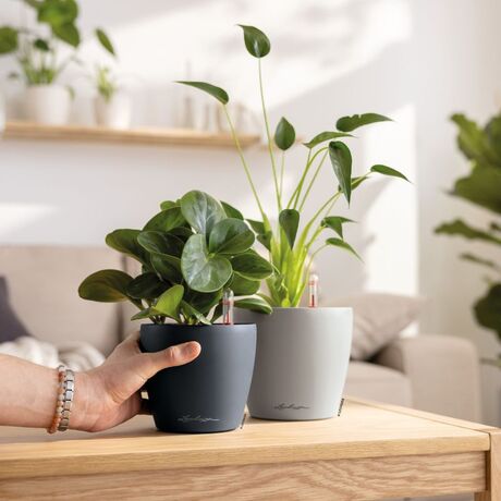 LECHUZA Classico Color 14 Επιτραπέζια Γλάστρα Ø15x14cm Αυτοποτιζόμενη Slate Γερμανίας