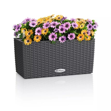 LECHUZA Balconera Cottage 40 Ζαρντινιέρα 40x19x19cm Αυτοποτιζόμενη με Δοχείο Φύτευσης Granite Γερμανίας