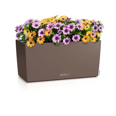 LECHUZA Balconera Color 40 Ζαρντινιέρα 40x19x19cm Αυτοποτιζόμενη με Δοχείο Φύτευσης Nutmeg Γερμανίας