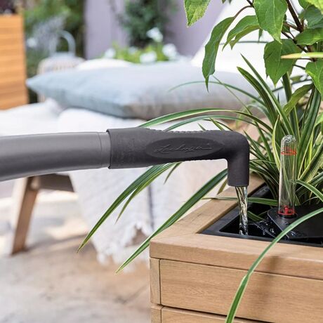 LECHUZA PALO Natural Wood Wide 80 Low  Επιδαπέδια Γλάστρα 79x37x46cm Αυτοποτιζόμενη με Δοχείο Φυσικό Ξύλο Ευκαλύπτου