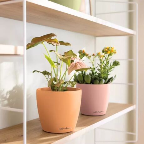 LECHUZA Cachepot Deco 10 Επιτραπέζια Γλάστρα Ø11x10cm Λευκή Γερμανίας