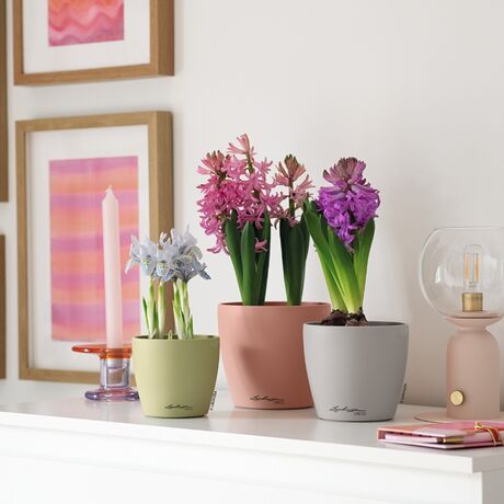 LECHUZA Cachepot Deco 10 Επιτραπέζια Γλάστρα Ø11x10cm Magnolia Γερμανίας