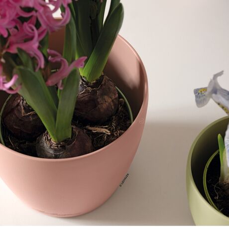 LECHUZA Cachepot Deco 28 Επιτραπέζια Γλάστρα Ø28x26cm Magnolia Γερμανίας