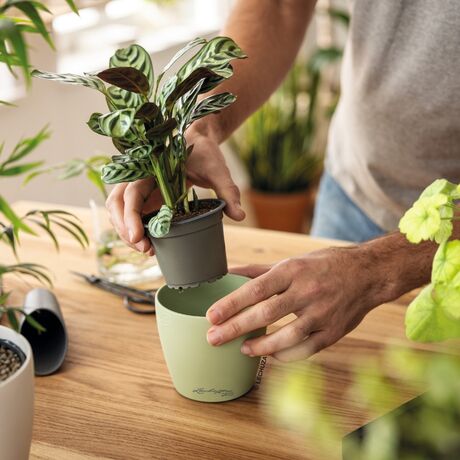 LECHUZA Cachepot Deco 43 Επιτραπέζια Γλάστρα Ø42x40cm Linden Γερμανίας