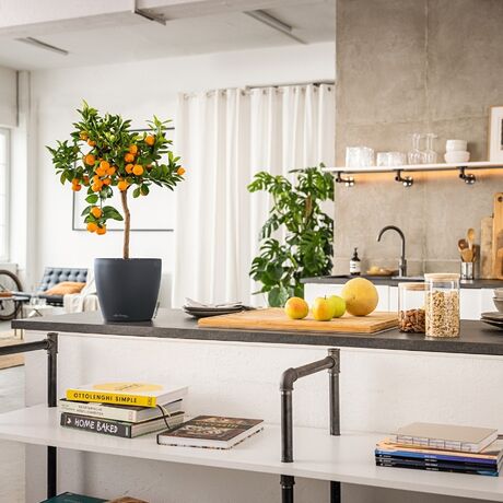 LECHUZA Cachepot Deco 43 Επιτραπέζια Γλάστρα Ø42x40cm Ανθρακί Γερμανίας