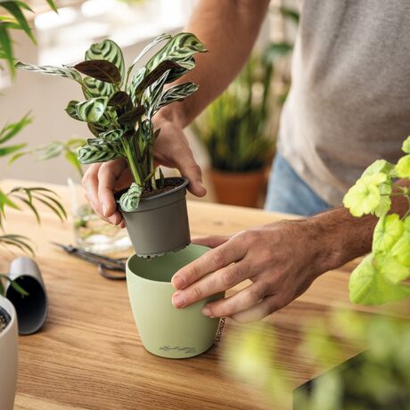 LECHUZA Cachepot Deco 10 Επιτραπέζια Γλάστρα Ø11x10cm Linden Γερμανίας