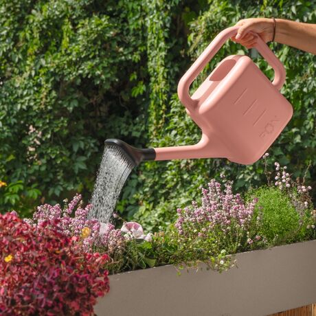 LECHUZA Κεφαλή Ψεκασμού για Ποτιστήρια Μoja