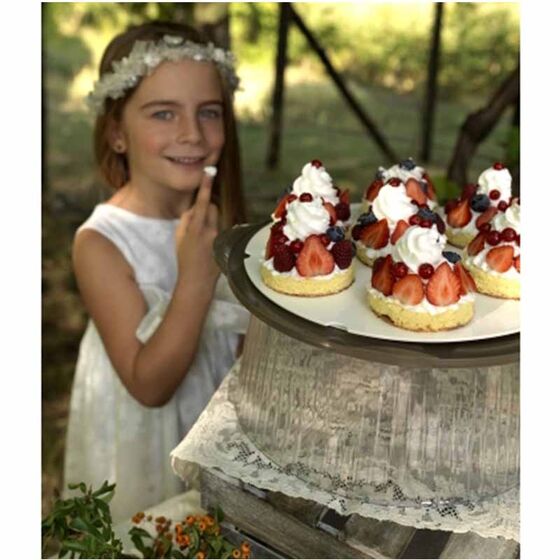 BAMA Ιταλίας Τουρτιέρα Πλαστική 36.5x33x14.8cm με Περιστρεφόμενη Βάση Καφέ-Διάφανο