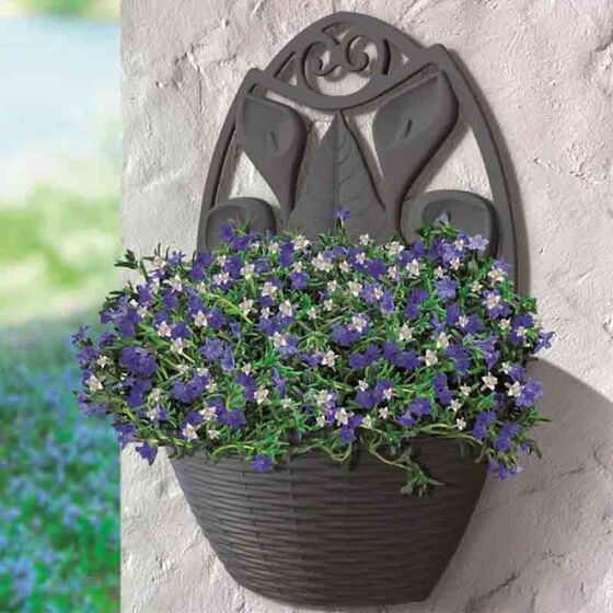 Γλάστρα Ημικυκλική Τοίχου 32x16x42.5cm Πλαστική Ανθρακί 3.4lt BAMA Ιταλίας